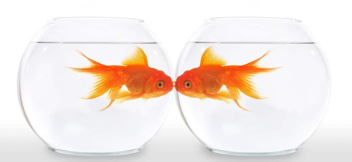 Skab blikfang med animationsfilm