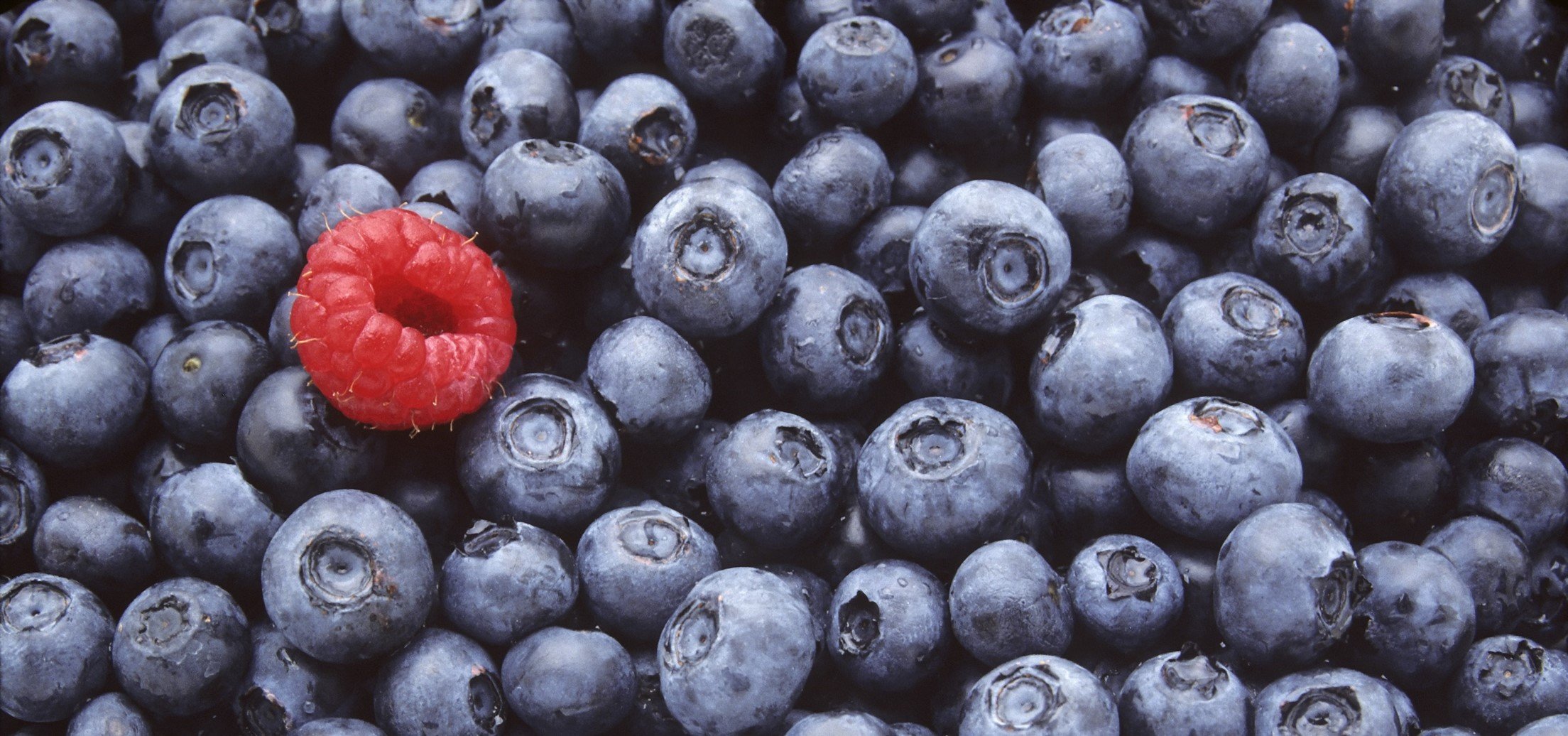 Skil dig ud med animationsfilm i B2B-marketing