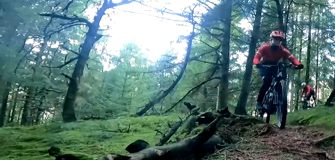 Citybranding - udvikling af regioner, byer og områder