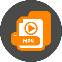 Levering i flere formater