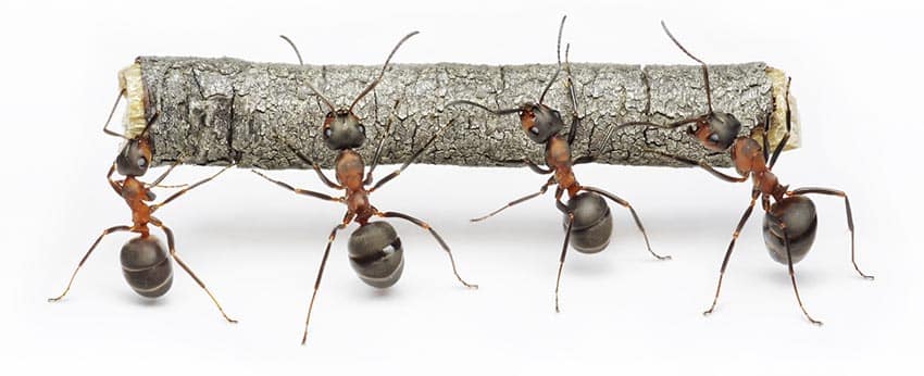 Fortæl gode historier om, hvordan I arbejder sammen