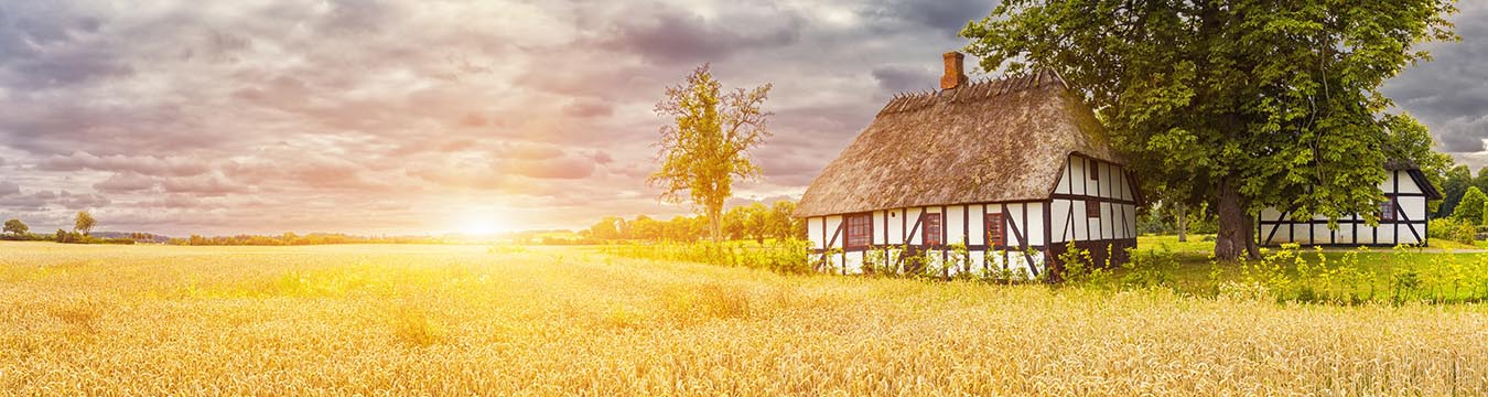 SIGNA videoproduktion Fyn - vi kommer jævnligt